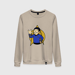 Женский свитшот Spoke - vault boy