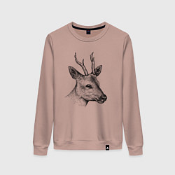 Свитшот хлопковый женский Голова косули, цвет: пыльно-розовый