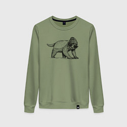 Свитшот хлопковый женский Медоед модный, цвет: авокадо