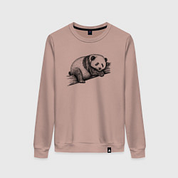 Свитшот хлопковый женский Панда лежит на дереве, цвет: пыльно-розовый
