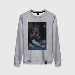 Женский свитшот Кот - задрот