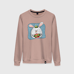 Свитшот хлопковый женский Заяц с подарком, цвет: пыльно-розовый