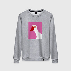 Женский свитшот Hypno-goose