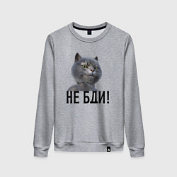 Свитшот хлопковый женский Высокомерный кот не бди, цвет: меланж