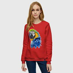 Свитшот хлопковый женский Сине-золотой попугай ара, цвет: красный — фото 2