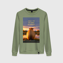 Свитшот хлопковый женский Капибара на берегу реки: страх это не повод не дел, цвет: авокадо