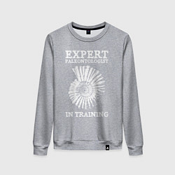 Свитшот хлопковый женский Эксперт палеонтолог на стажировке, цвет: меланж