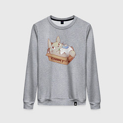 Свитшот хлопковый женский Ghibli Totoro, цвет: меланж