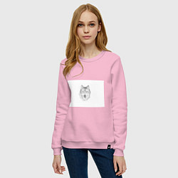 Свитшот хлопковый женский Нарисованный волк зубами щёлк, цвет: светло-розовый — фото 2