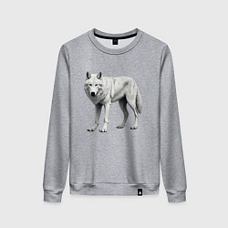 Свитшот хлопковый женский Белый волк альфа, цвет: меланж