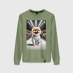 Свитшот хлопковый женский Милый Шпиц на модном показе животных, цвет: авокадо