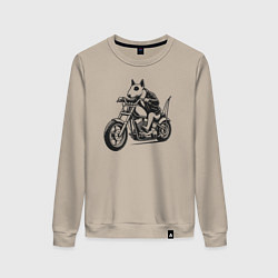 Свитшот хлопковый женский Бультерьер байкер на мотоцикле чоппере, цвет: миндальный