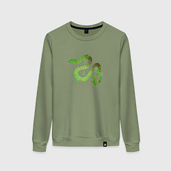 Свитшот хлопковый женский Змея зеленая 2025, цвет: авокадо