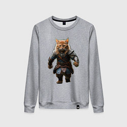 Свитшот хлопковый женский Кот викинг, цвет: меланж