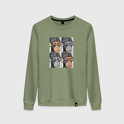 Женский свитшот Four monkeys