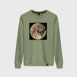 Свитшот хлопковый женский Кот смотрит на луну, цвет: авокадо