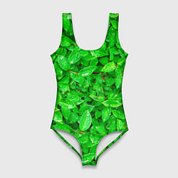 Женский купальник-боди Зелёные листья - текстура