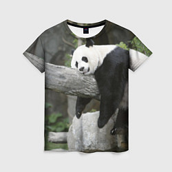 Футболка женская Большая уставшая панда, цвет: 3D-принт