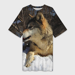 Женская длинная футболка Волк лежит на снегу