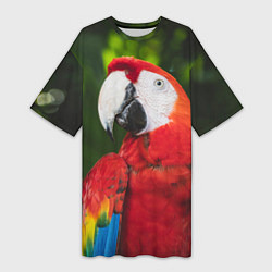 Футболка женская длинная Красный попугай Ара, цвет: 3D-принт
