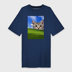 Женская футболка-платье Кот и безмятежность в Windows XP