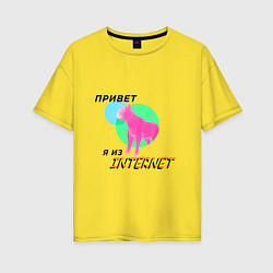 Женская футболка оверсайз Привет я из internet