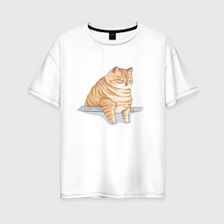 Женская футболка оверсайз Толстый Кот