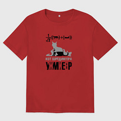 Женская футболка оверсайз Кот Шредингера