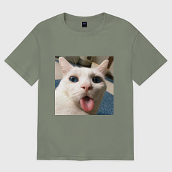 Женская футболка оверсайз Мем про кота