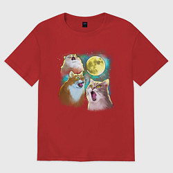 Женская футболка оверсайз Котики воют на Луну