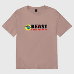 Женская футболка оверсайз Mr Beast Philanthropy