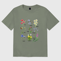 Футболка оверсайз женская Иллюстрации полевых цветов с названиями, цвет: авокадо