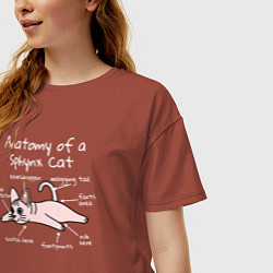 Футболка оверсайз женская Анатомия кошки сфинкса, цвет: кирпичный — фото 2