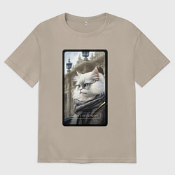 Женская футболка оверсайз Санкт-Петербург котик