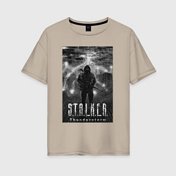 Женская футболка оверсайз Stalker thunderstorm