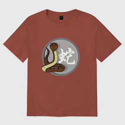 Футболка оверсайз женская Год змеи на китайском, цвет: кирпичный