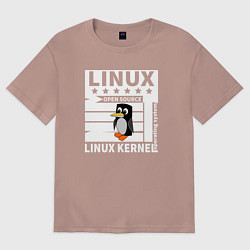 Футболка оверсайз женская Пингвин программист системы линукс, цвет: пыльно-розовый