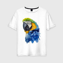 Женская футболка оверсайз Сине-золотой попугай ара