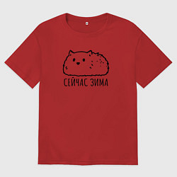 Женская футболка оверсайз Сейчас зима пушичстый кот