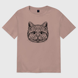 Женская футболка оверсайз Кот мемный