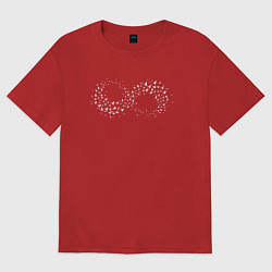 Женская футболка оверсайз Птицы в бесконечности