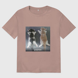 Футболка оверсайз женская Мемные коты умерчики, цвет: пыльно-розовый