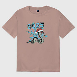 Женская футболка оверсайз Ледяной змея 2025