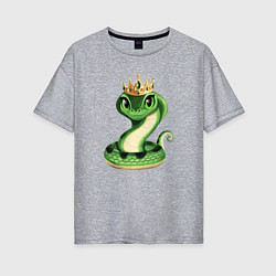 Футболка оверсайз женская Царевна змея, цвет: меланж