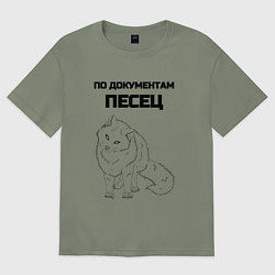 Женская футболка оверсайз По документам песец