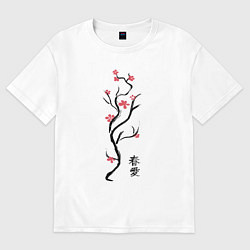 Женская футболка оверсайз Весна. Любовь