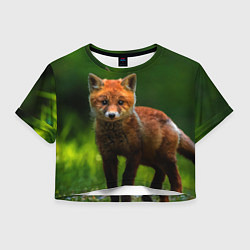 Женский топ Маленький лисенок