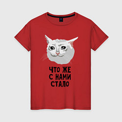Женская футболка Грустный котик