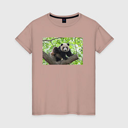 Футболка хлопковая женская Медведь панда на дереве, цвет: пыльно-розовый