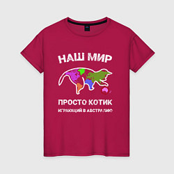 Футболка хлопковая женская Котик на карте, цвет: маджента